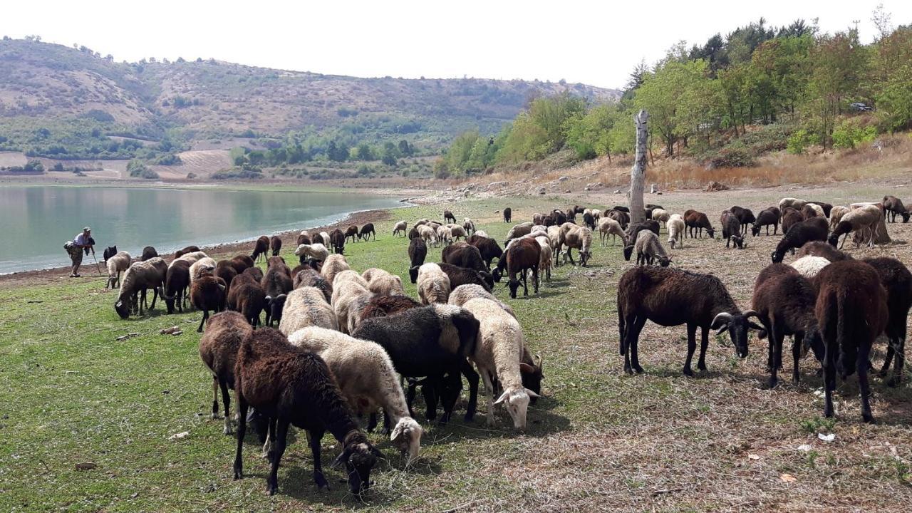 Appartamento Fiuggi Terme Zewnętrze zdjęcie